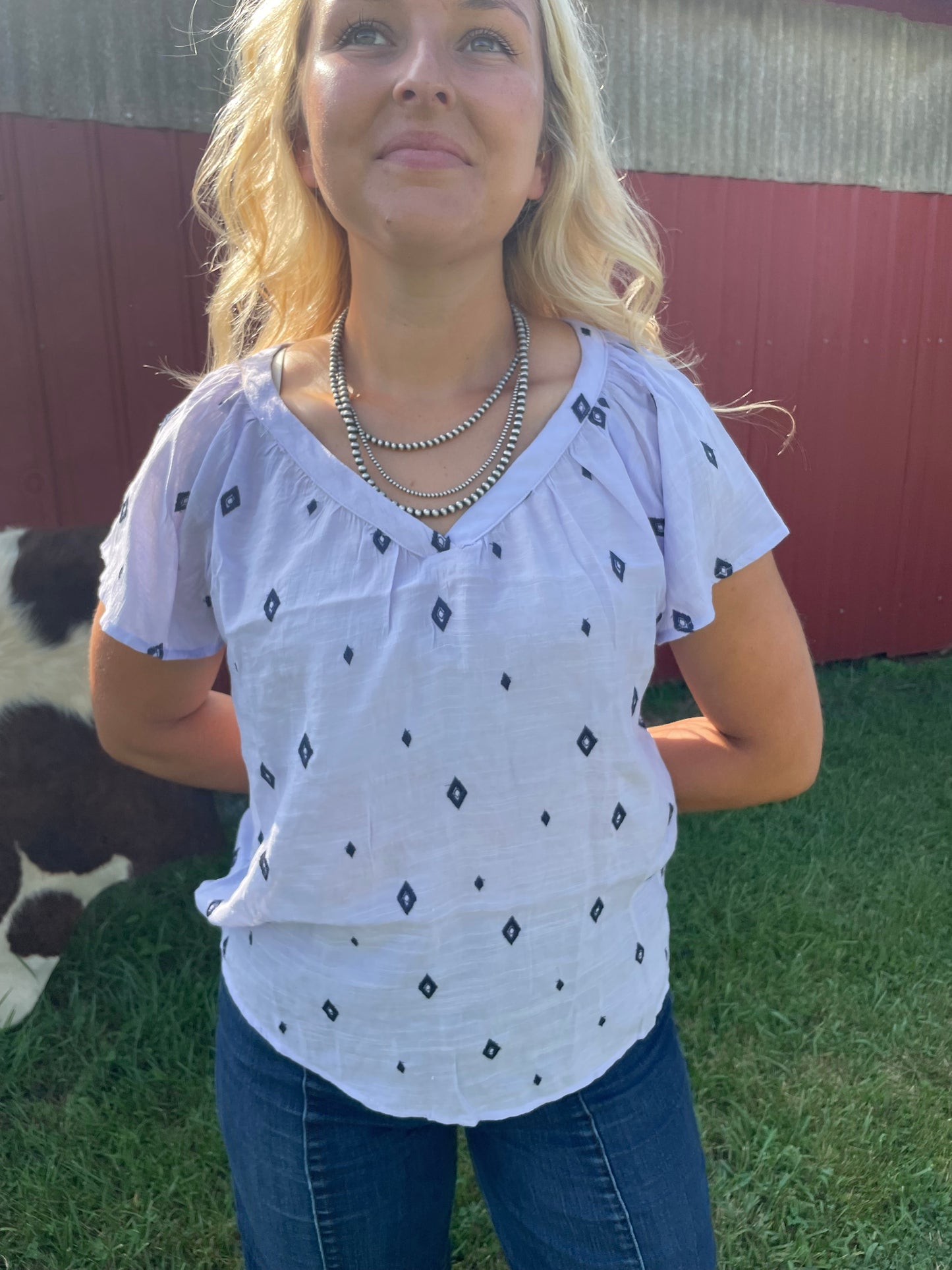 Sheer Aztec Embroidered Top in Lilac