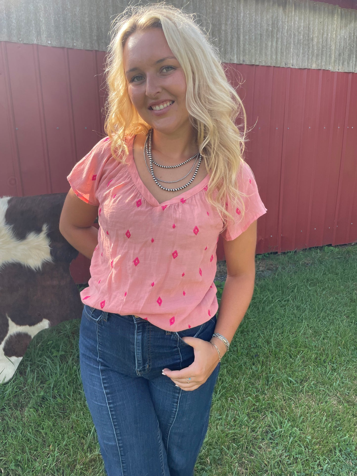 Sheer Aztec Embroidered Top in Pink