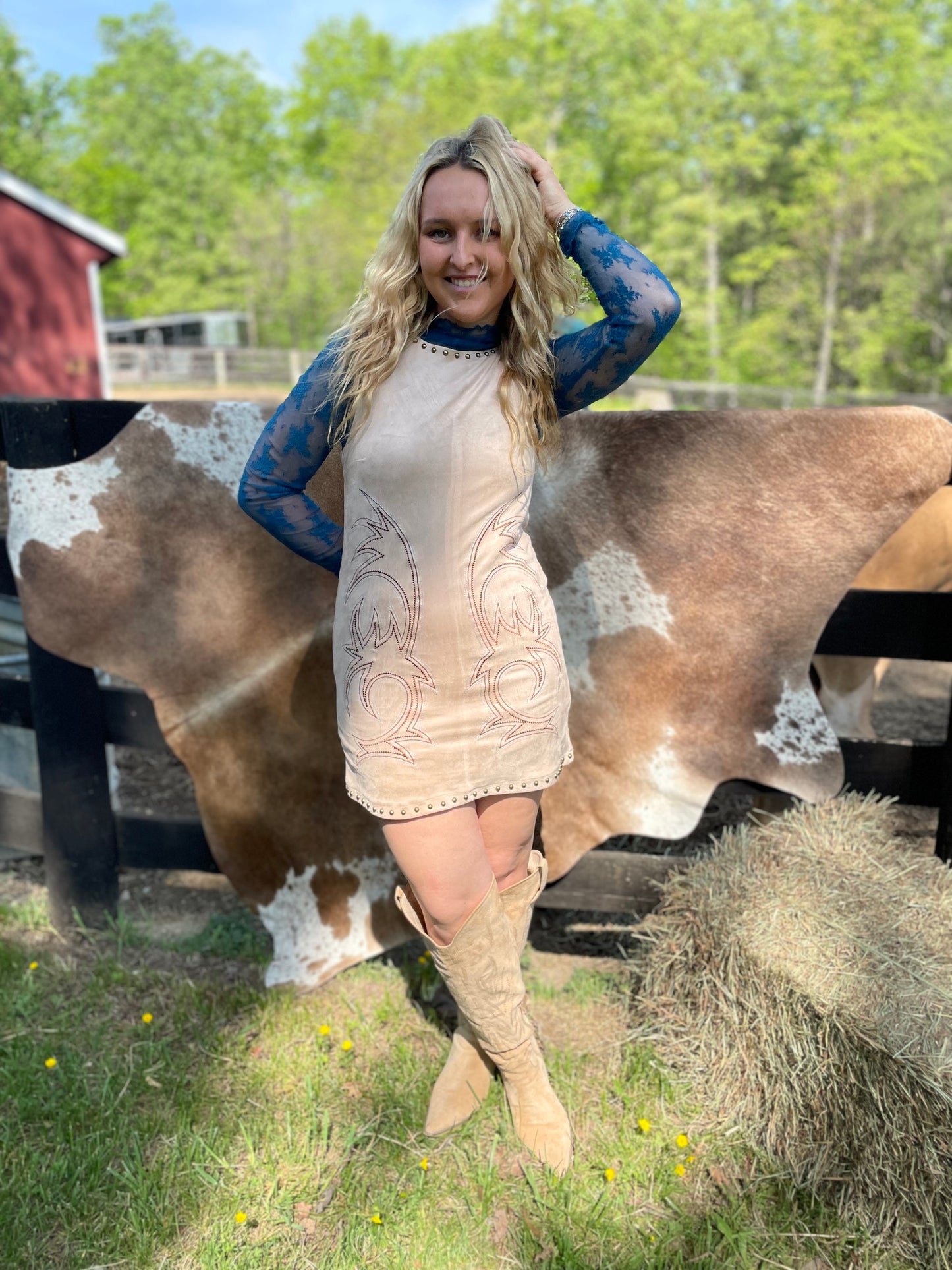 Jaylee Western Stitch Dress