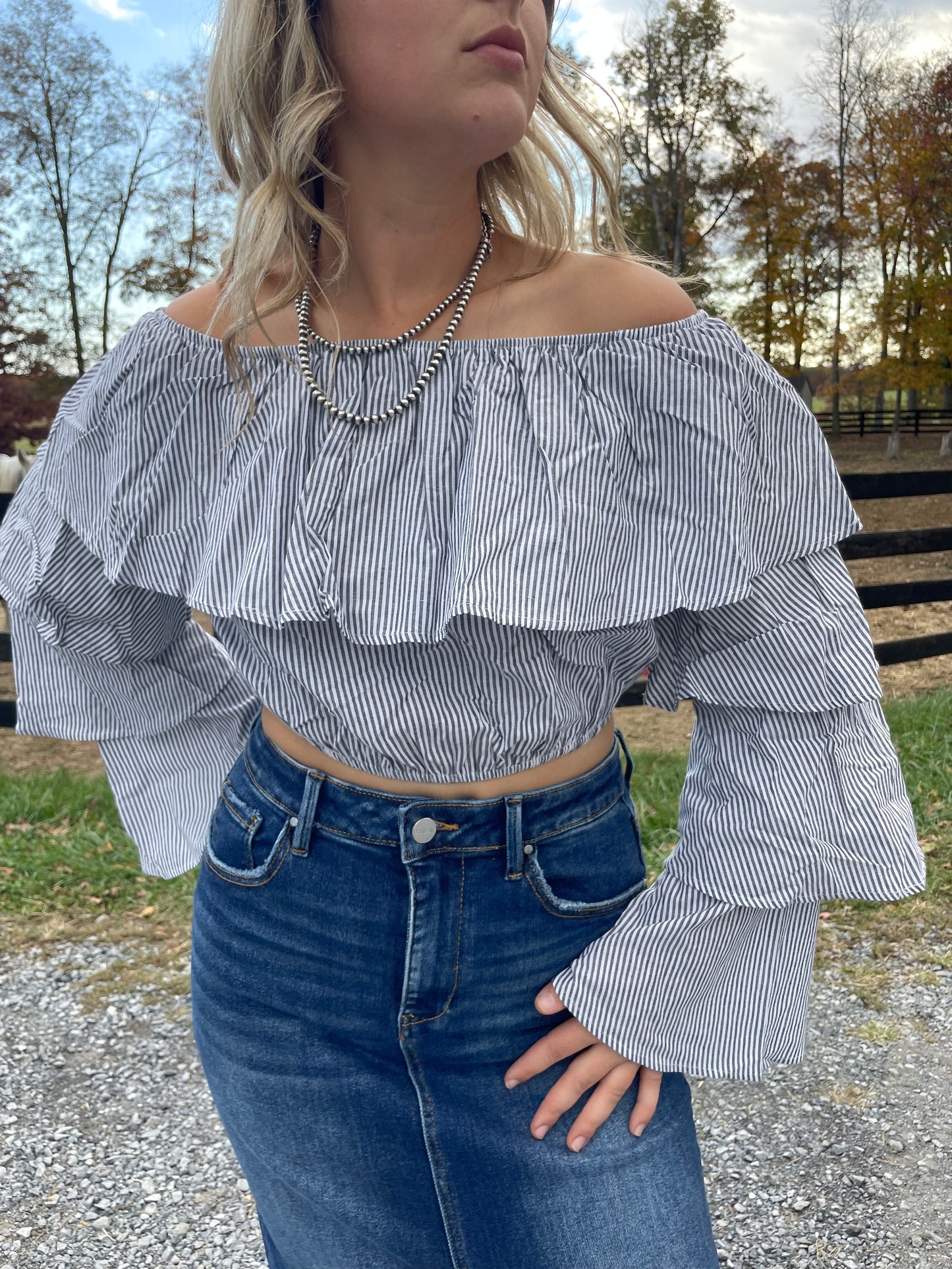 Cropped Pinstriped Ruffle Blouse