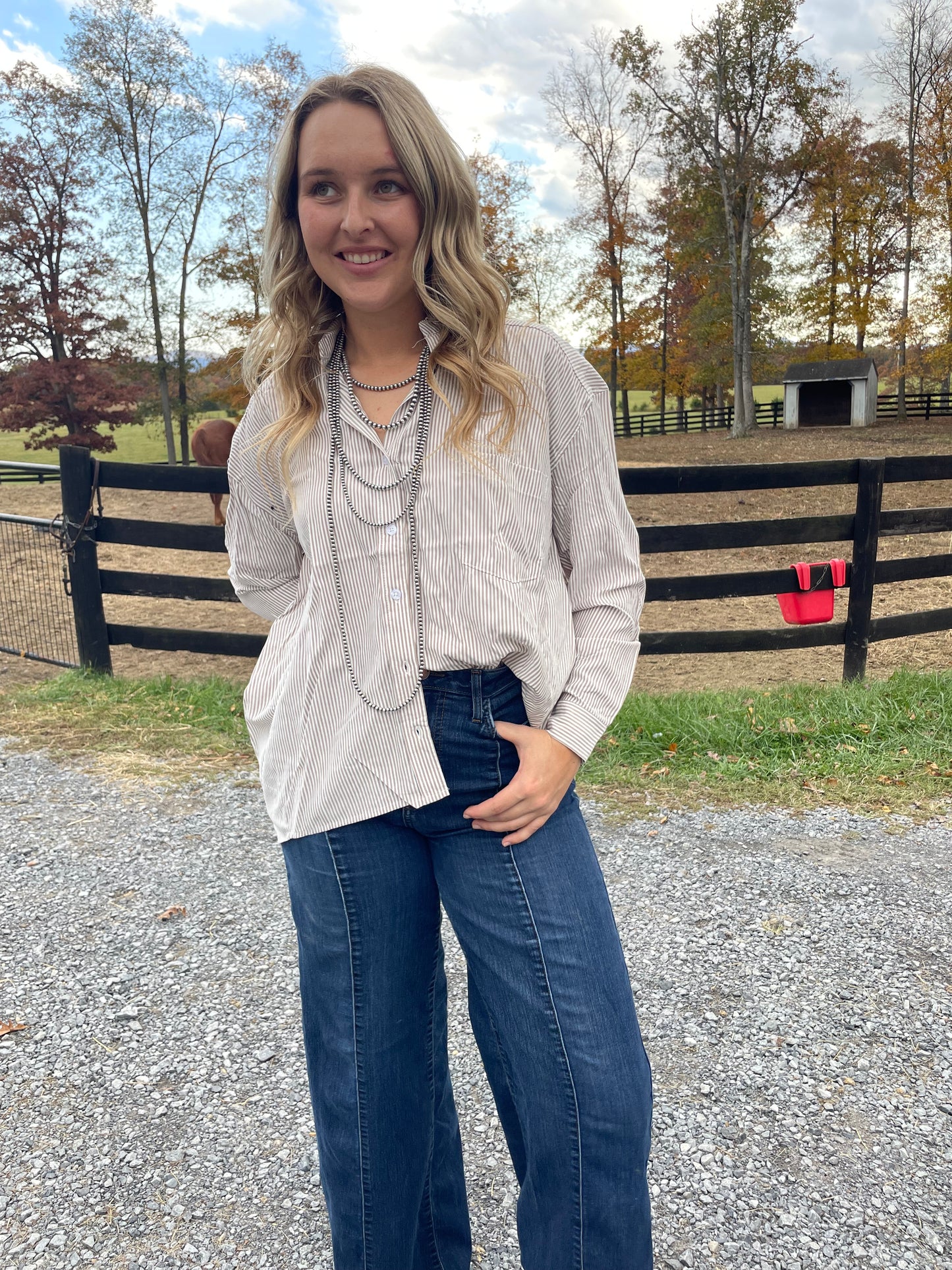 Oversized Pinstriped Blouse