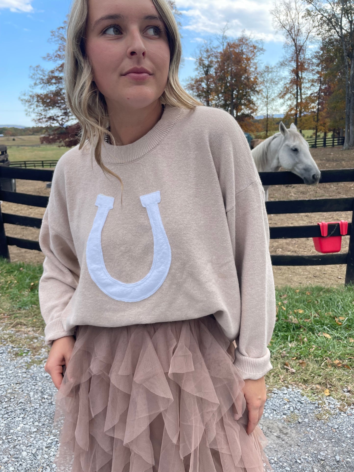 Oversized Horse Shoe Sweater