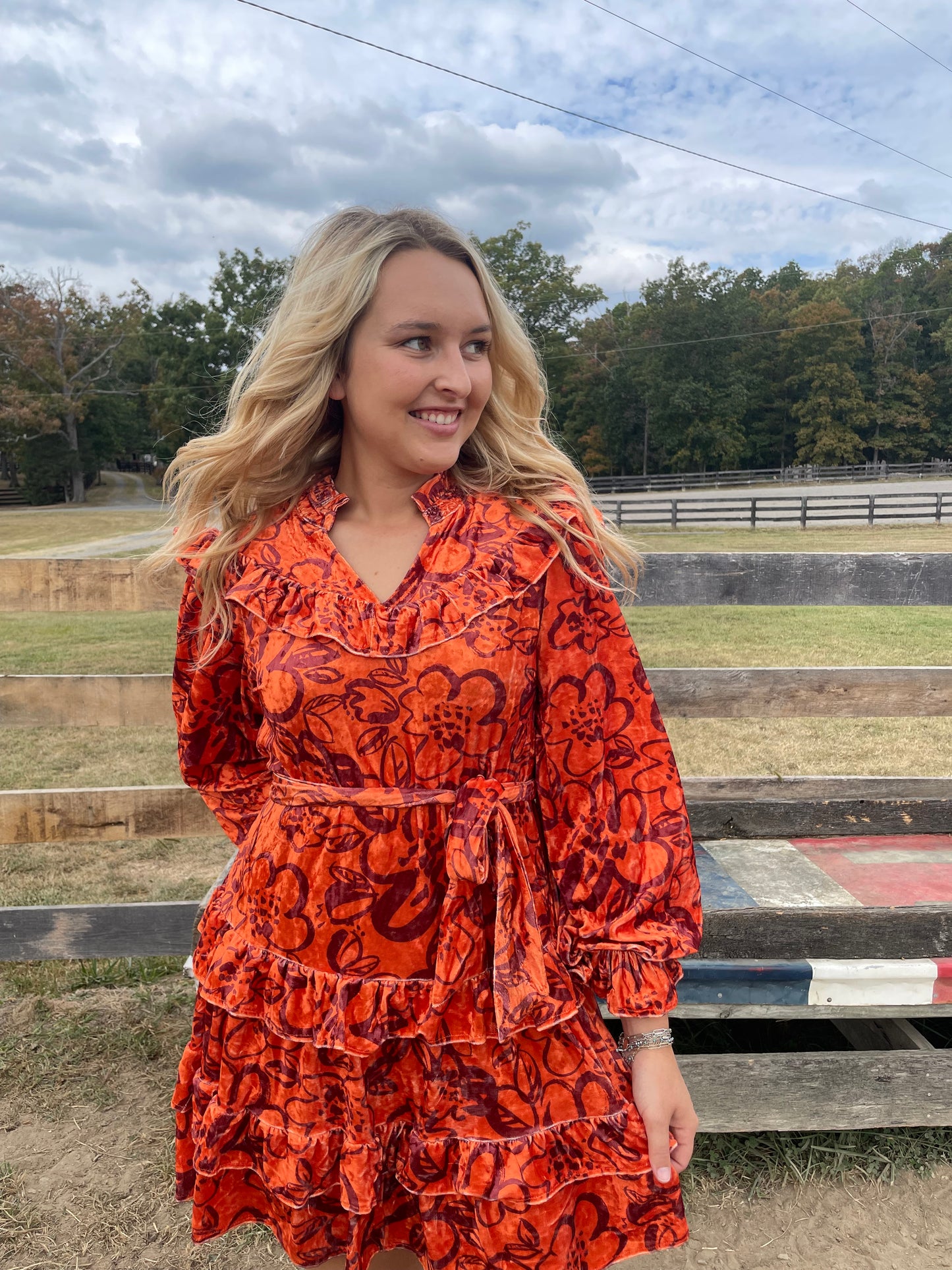 Lane Velvet Dress