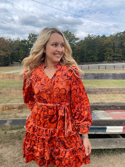 Lane Velvet Dress