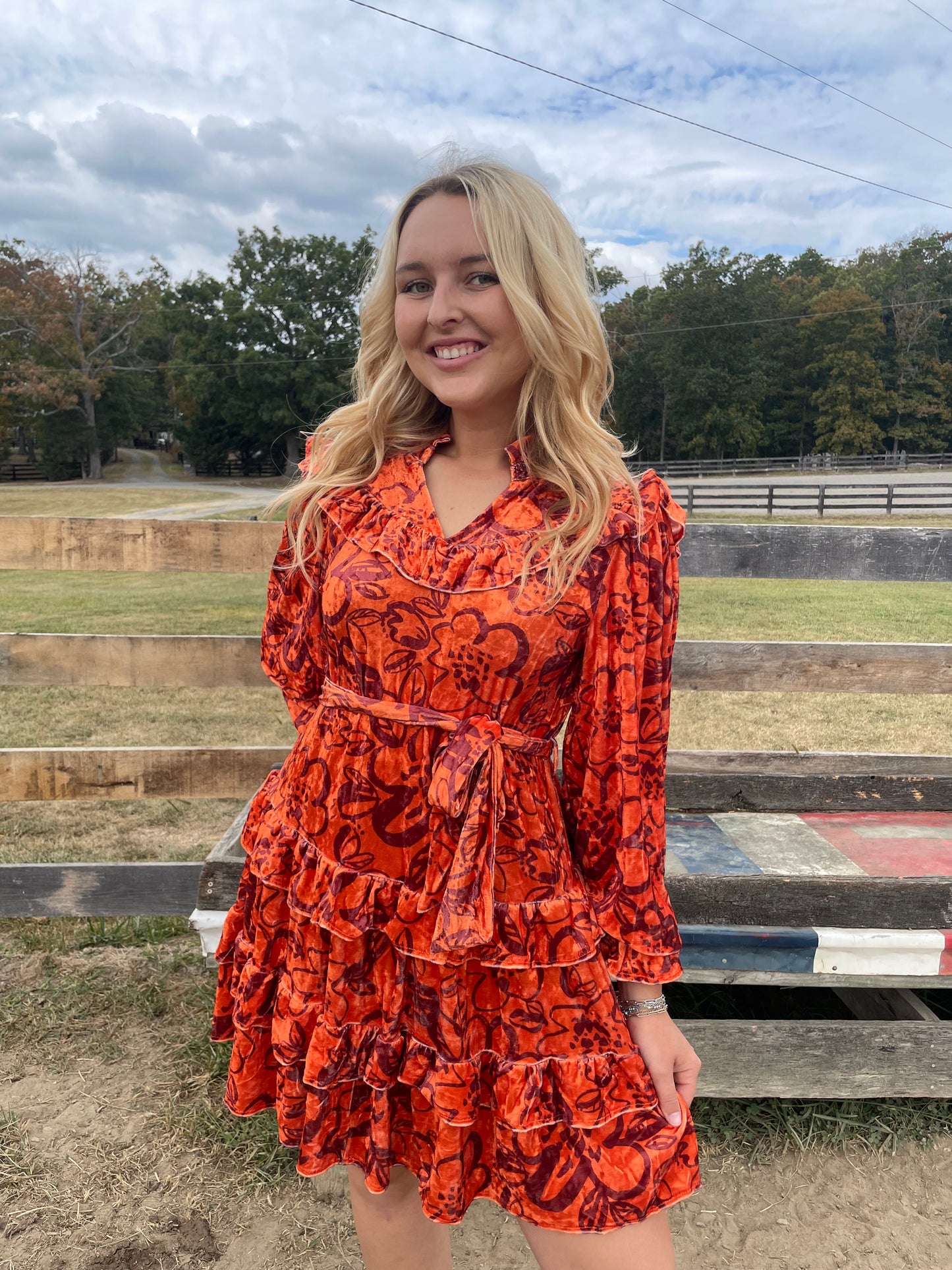 Lane Velvet Dress